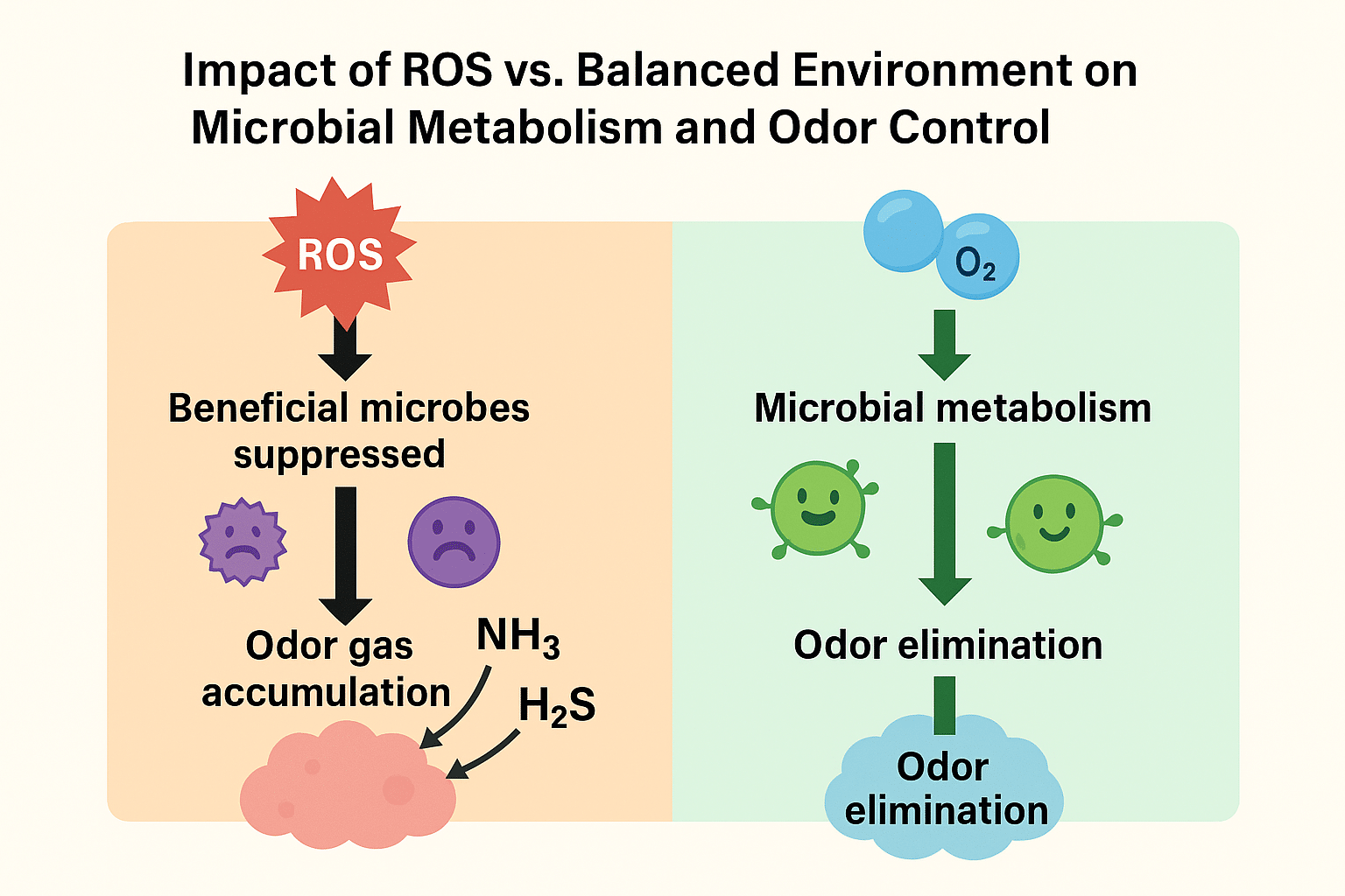 Diagram: Elevated ROS suppress beneficial microbes → odor gas accumulation; balanced environment → microbial metabolism → odor elimination